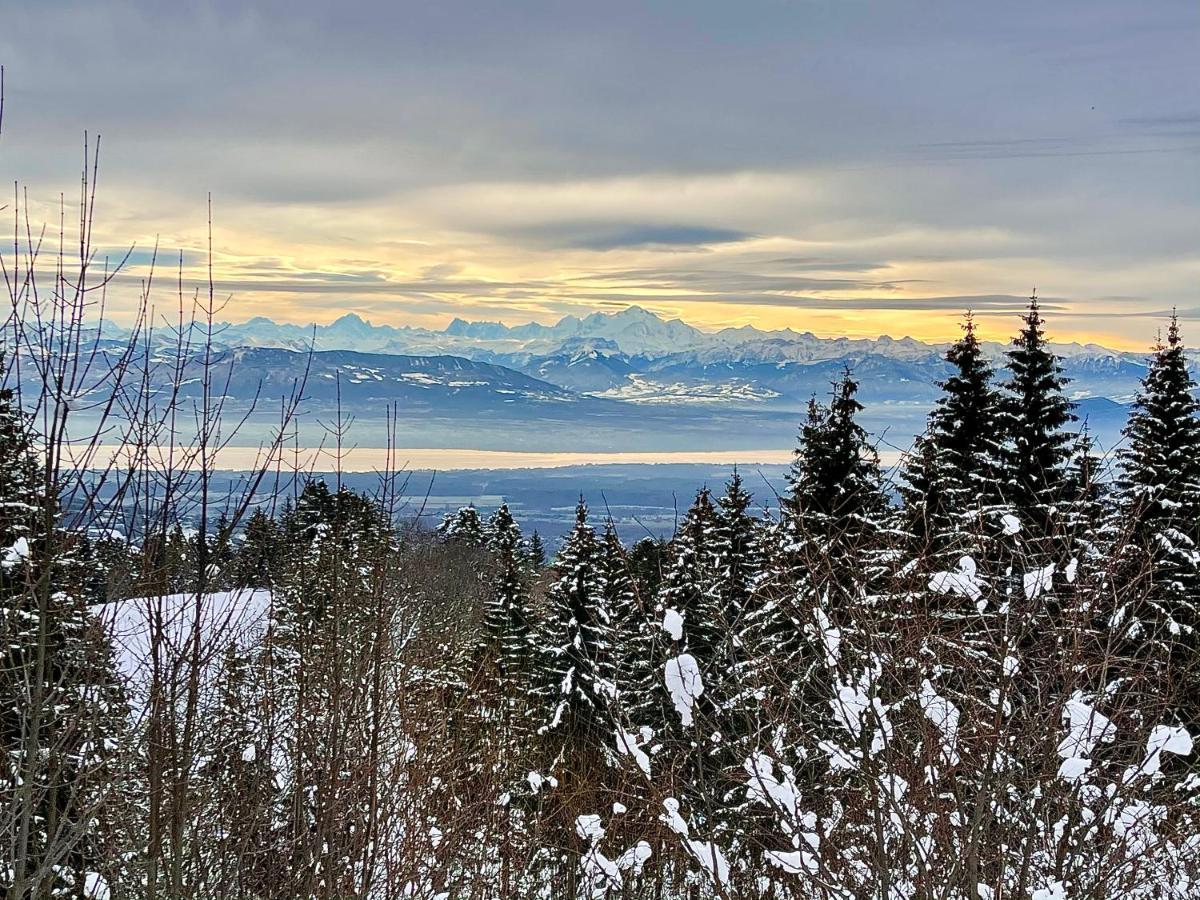 Gite Avec Terrasse Et Belle Vue - Chaletnelda Com Lamoura Eksteriør bilde